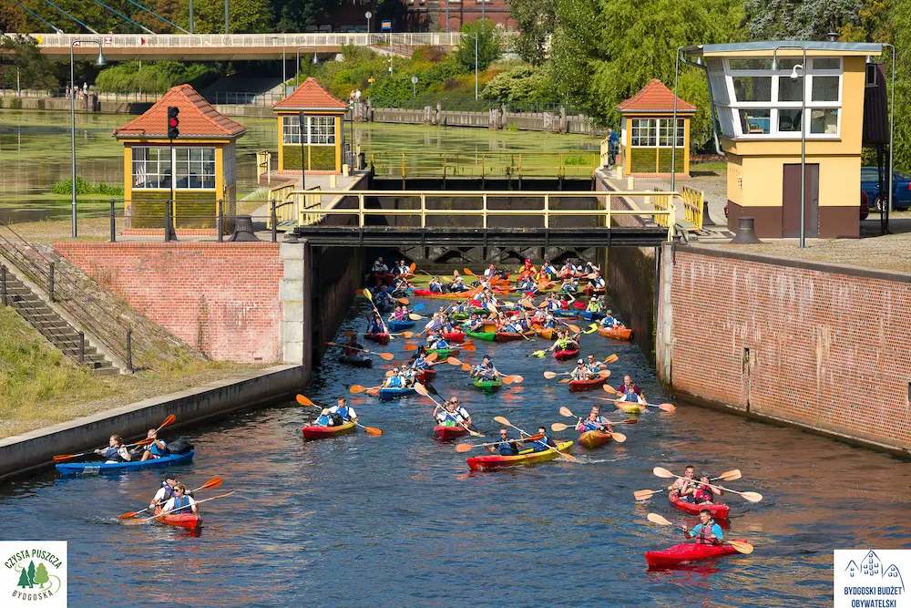 czysta puszcza bydgoska